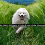 canine breeds